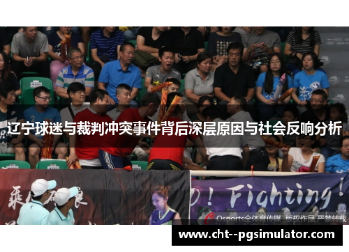 辽宁球迷与裁判冲突事件背后深层原因与社会反响分析