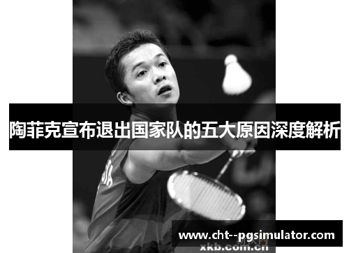陶菲克宣布退出国家队的五大原因深度解析