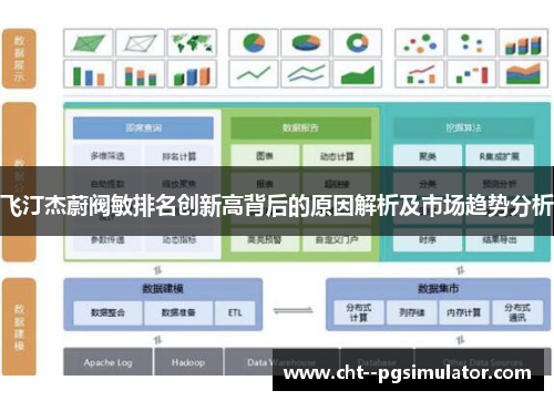 飞汀杰蔚阀敏排名创新高背后的原因解析及市场趋势分析
