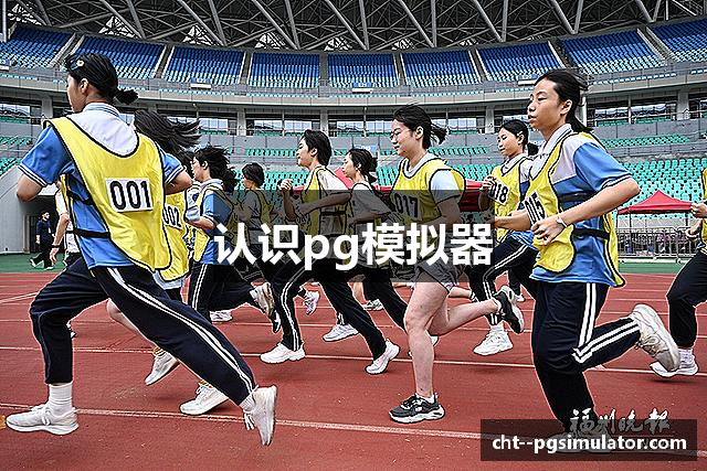 认识pg模拟器